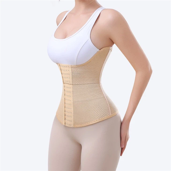 Bustier Corset Waist Trainer price